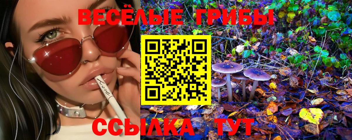закладка  Галлюциногенные грибы ЛСД  Вход с VPN  Киселёвск  Псилоцибиновые грибы Psilocybine cubensis 