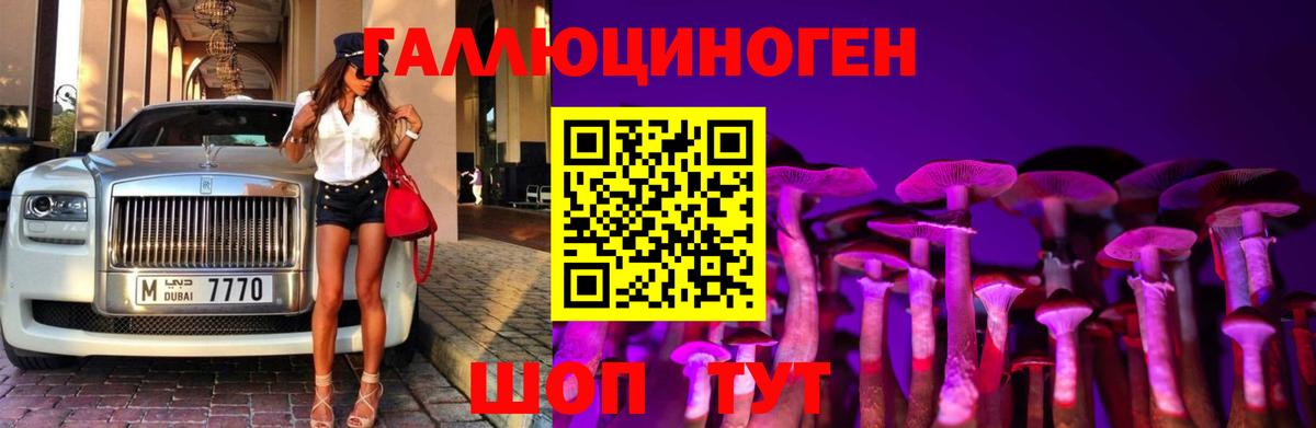 Галлюциногенные грибы Psilocybine cubensis Киселёвск